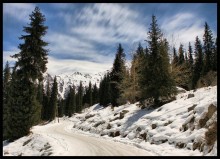 White nights in the mountains of Tien Shan / ______