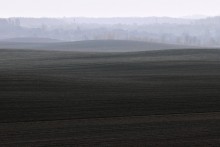 Earth\'s gravity / ***