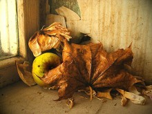 From the series &quot;Autumn&quot; (5) / ***