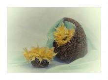 with daffodils ... / ......................