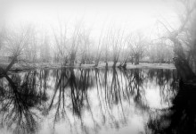 Boldino morning / *********