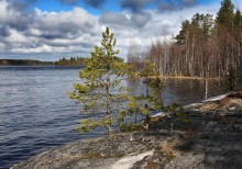 On the rocky shore / ***