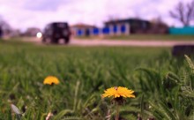 Spring / ......