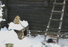 * * / it is mine…
(: