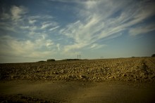 Field and sky / ***