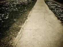 Spring road / No comments