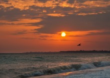 Sea, the evening. / ******