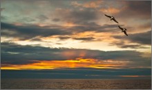 at sunset ... / ***