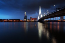 Lights of Rotterdam / ***