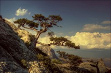 Durability / *******