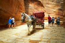 ... And the tourists go on foot / Jordan. Petra.
