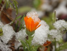 First snow / ***