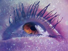 &nbsp; / ***********