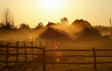 Foggy vision / ***