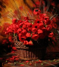 basket of poppies (2) / *********************