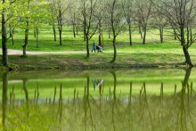 The May day in the city park / ***