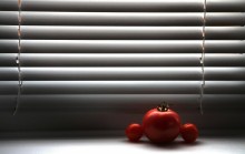 Random Still Life. / *******