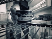 World through the eyes of the refrigerator / ***