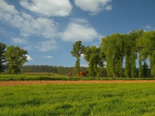 Rural Landscape / ---------