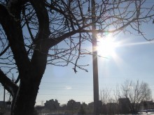 The brightness of life / ............