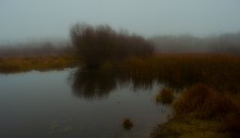 Backwater vaguely-red in autumn. / ******