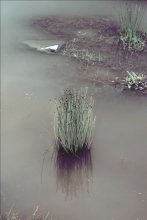 on the river / ***
