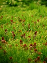 Fabulously ... / ........