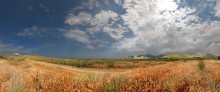 summer day in a quiet bay / ***