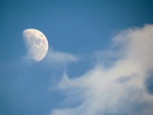 Moon / ***
