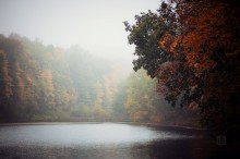 Autumn morning / fog&amp;mystery