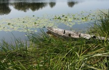 Old boat / ***