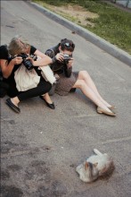 of photographers and cats / ***