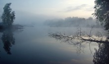 Woodland Pond at the end of the night / ***