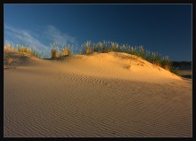 World Dune IV / ***