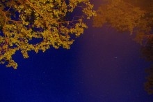 Night sky / ***