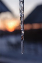 Sunset / ***