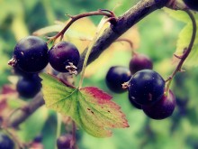 &nbsp; / ****************************************************************************************