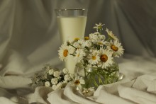 Milk / 10.07.11.