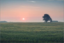 and again about dawn ... / _________