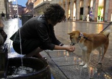 Do not drink out of puddles! / ***