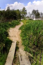 Country situation / ***