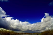 After the storm ... / ***