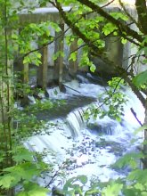 nature / )))))