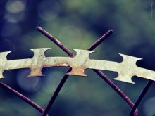 &nbsp; / ********************************************************