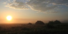 July morning-2 / ***