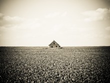 Lonely House / ***