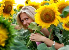 Girl in sunflowers / ***