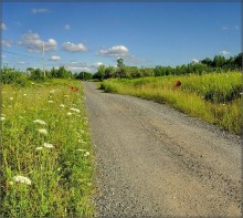 Yanka Kupala street / ***