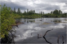 The nature of the Taimyr / ***