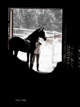 In the stable .... / ........